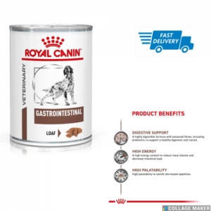 Gastrointestinal Royal Canin Diet Gastro Intestinal Digestive Dog Food, 12x400g